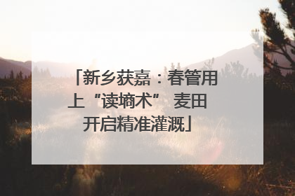 新乡获嘉：春管用上“读墒术” 麦田开启精准灌溉