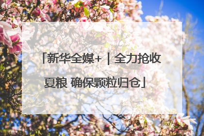 新华全媒+｜全力抢收夏粮 确保颗粒归仓