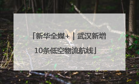 新华全媒+｜武汉新增10条低空物流航线