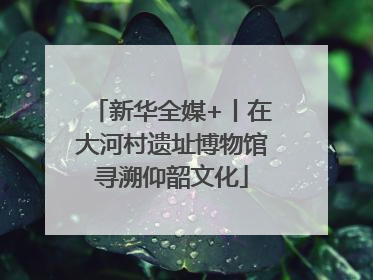 新华全媒+丨在大河村遗址博物馆寻溯仰韶文化