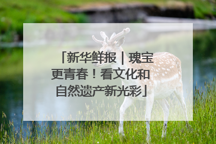 新华鲜报｜瑰宝更青春！看文化和自然遗产新光彩