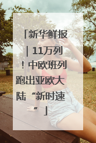 新华鲜报｜11万列！中欧班列跑出亚欧大陆“新时速”