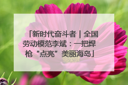 新时代奋斗者｜全国劳动模范李斌：一把焊枪“点亮”美丽海岛