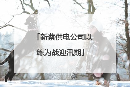 新蔡供电公司以练为战迎汛期