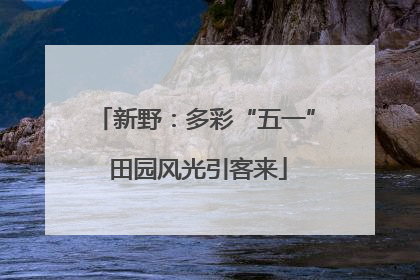 新野：多彩“五一” 田园风光引客来