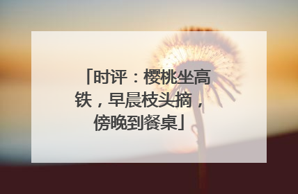 时评：樱桃坐高铁，早晨枝头摘，傍晚到餐桌