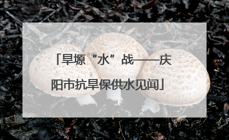 旱塬“水”战——庆阳市抗旱保供水见闻