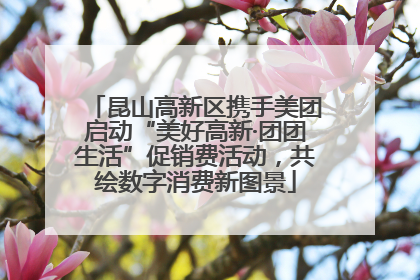 昆山高新区携手美团启动“美好高新·团团生活”促销费活动，共绘数字消费新图景