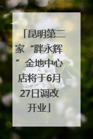 昆明第二家“胖永辉”金地中心店将于6月27日调改开业