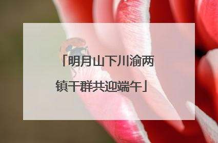 明月山下川渝两镇干群共迎端午
