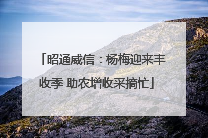 昭通威信：杨梅迎来丰收季 助农增收采摘忙