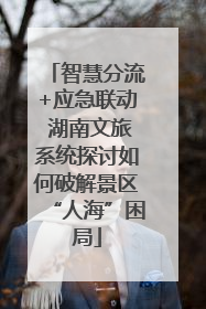 智慧分流+应急联动 湖南文旅系统探讨如何破解景区“人海”困局