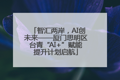 智汇两岸，AI创未来——厦门思明区台青“AI+”赋能提升计划启航
