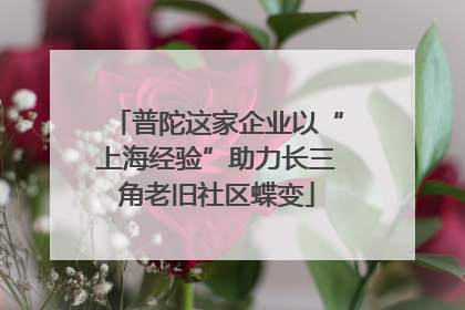 普陀这家企业以“上海经验”助力长三角老旧社区蝶变