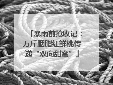 暴雨前抢收记：万斤胭脂红鲜桃传递“双向甜蜜”