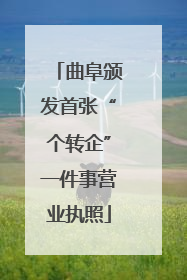 曲阜颁发首张“个转企”一件事营业执照
