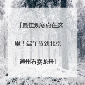 最佳观赛点在这里！端午节到北京通州看赛龙舟