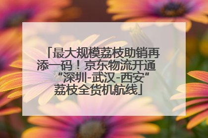 最大规模荔枝助销再添一码！京东物流开通“深圳-武汉-西安” 荔枝全货机航线