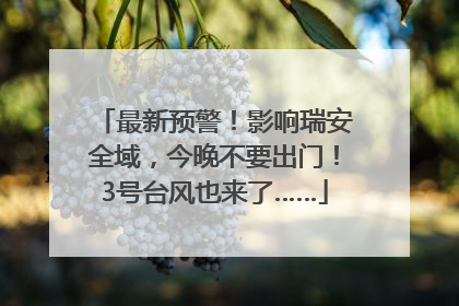 最新预警！影响瑞安全域，今晚不要出门！3号台风也来了……