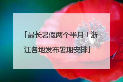 最长暑假两个半月！浙江各地发布暑期安排