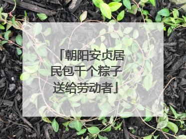 朝阳安贞居民包千个粽子送给劳动者