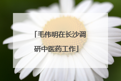 毛伟明在长沙调研中医药工作