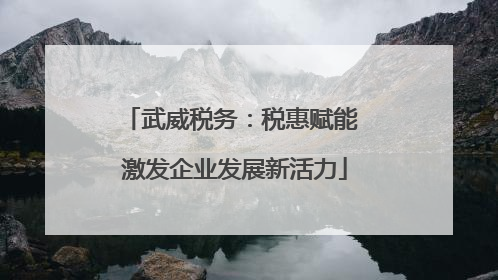 武威税务：税惠赋能 激发企业发展新活力