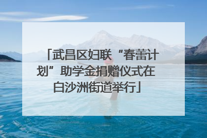 武昌区妇联“春蕾计划”助学金捐赠仪式在白沙洲街道举行