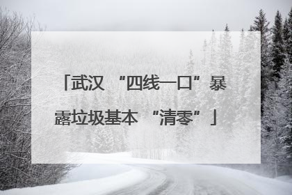 武汉 “四线一口”暴露垃圾基本 “清零”
