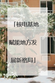 核电基地赋能地方发展新格局