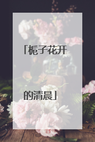 栀子花开的清晨