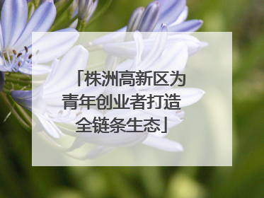 株洲高新区为青年创业者打造全链条生态