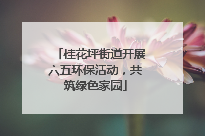 桂花坪街道开展六五环保活动，共筑绿色家园