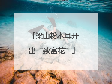 梁山粉木耳开出“致富花”