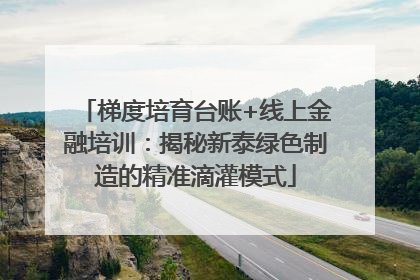 梯度培育台账+线上金融培训：揭秘新泰绿色制造的精准滴灌模式