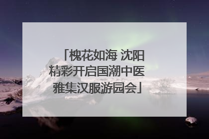 槐花如海 沈阳精彩开启国潮中医雅集汉服游园会
