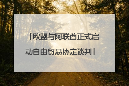 欧盟与阿联酋正式启动自由贸易协定谈判