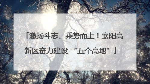 激扬斗志、乘势而上！襄阳高新区奋力建设 “五个高地”
