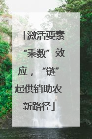 激活要素“乘数”效应，“链”起供销助农新路径