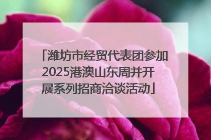 潍坊市经贸代表团参加2025港澳山东周并开展系列招商洽谈活动