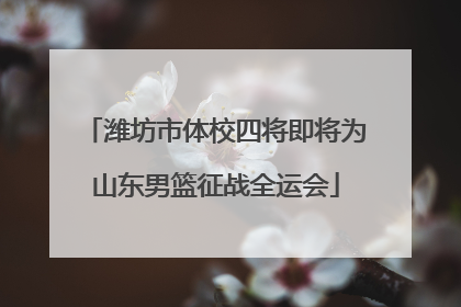 潍坊市体校四将即将为山东男篮征战全运会