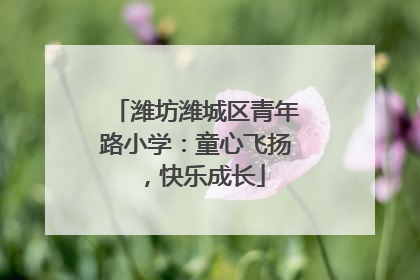 潍坊潍城区青年路小学：童心飞扬，快乐成长