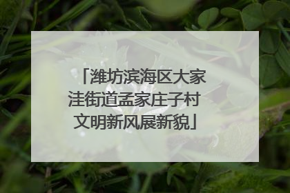 潍坊滨海区大家洼街道孟家庄子村文明新风展新貌