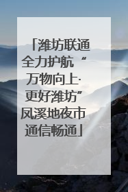 潍坊联通全力护航“万物向上·更好潍坊”凤溪地夜市通信畅通