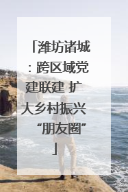 潍坊诸城：跨区域党建联建 扩大乡村振兴“朋友圈”