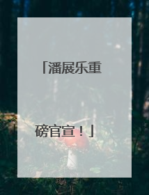 潘展乐重磅官宣！