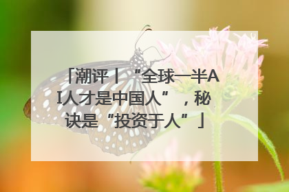 潮评丨“全球一半AI人才是中国人”，秘诀是“投资于人”