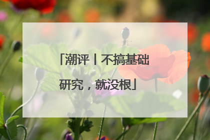 潮评丨不搞基础研究，就没根