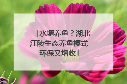 水塘养鱼？湖北江陵生态养鱼模式环保又增收