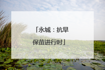 永城：抗旱保苗进行时